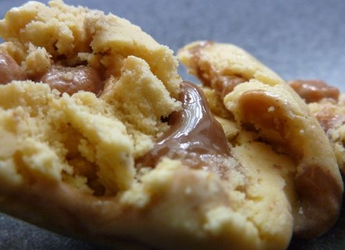 Spiced Pumpkin Pecan Blue Bell 4