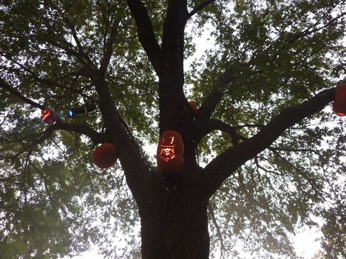 Halloween Horror Nights 20 38