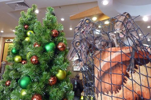 Universal Islands of Adventure 15