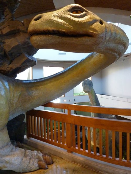 Universal Islands of Adventure 17