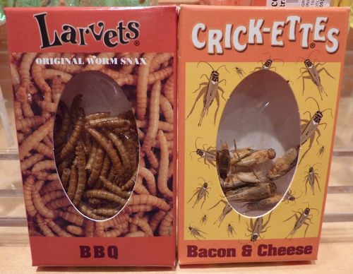 Universal Islands of Adventure 16