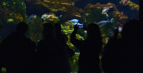 Sea World Orlando 15