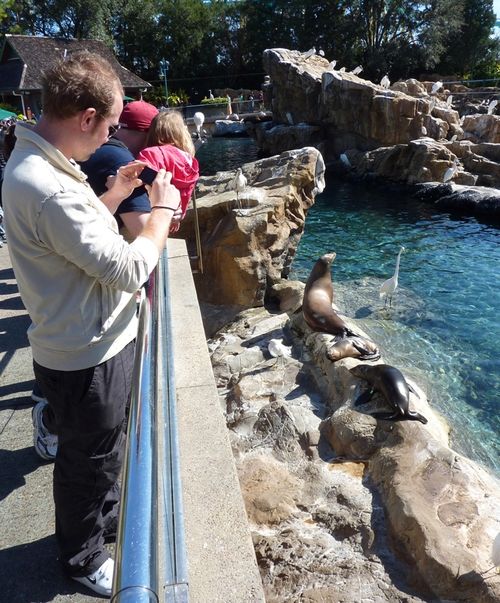 Sea World Orlando 23