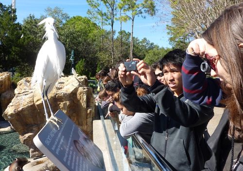 Sea World Orlando 25