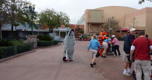 Disney's Hollywood Studios 7