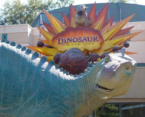 Disney's Animal Kingdom 14