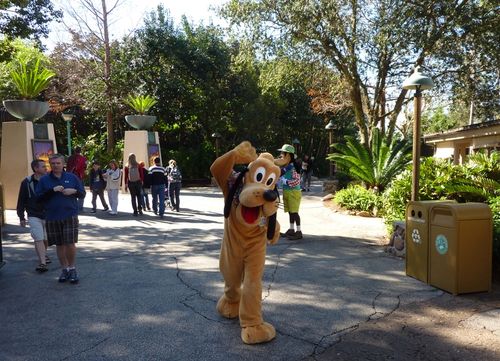 Disney's Animal Kingdom 12