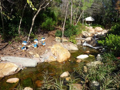 Disney's Animal Kingdom 18