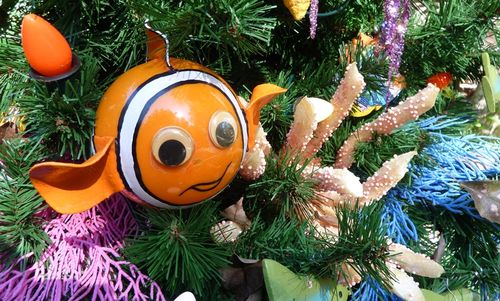 Disney's Animal Kingdom 21