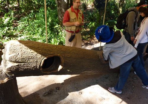 Disney's Animal Kingdom 22