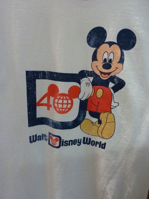 Disney's Animal Kingdom 25