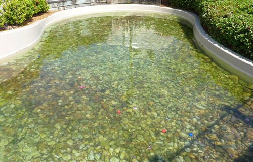 Fantasia Gardens Miniature Golf Course 37