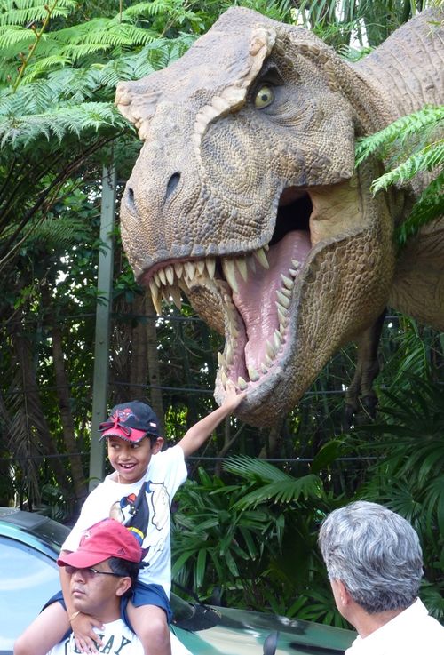 Islands of Adventure 20