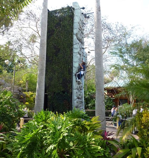 Islands of Adventure 21