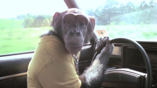CARNIVAL MAGIC Alex Driving