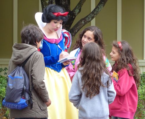 Magic Kingdom 30 Magic Kingdom 30