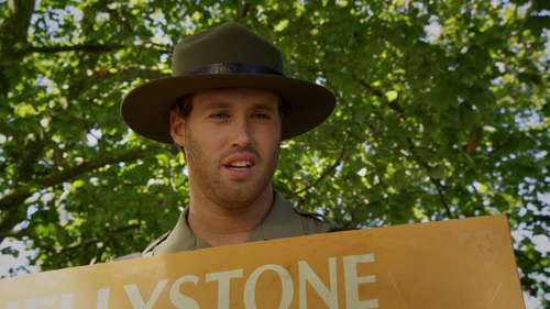 YONGI BEAR TJ Miller