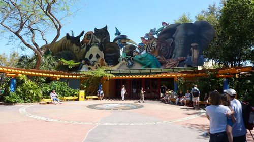Disney's Animal Kingdom 11