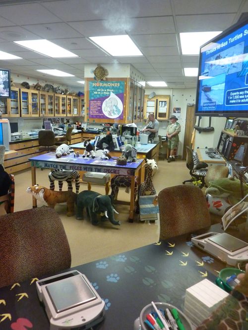 Disney's Animal Kingdom 16