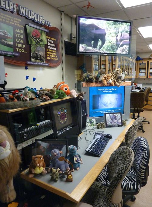 Disney's Animal Kingdom 17