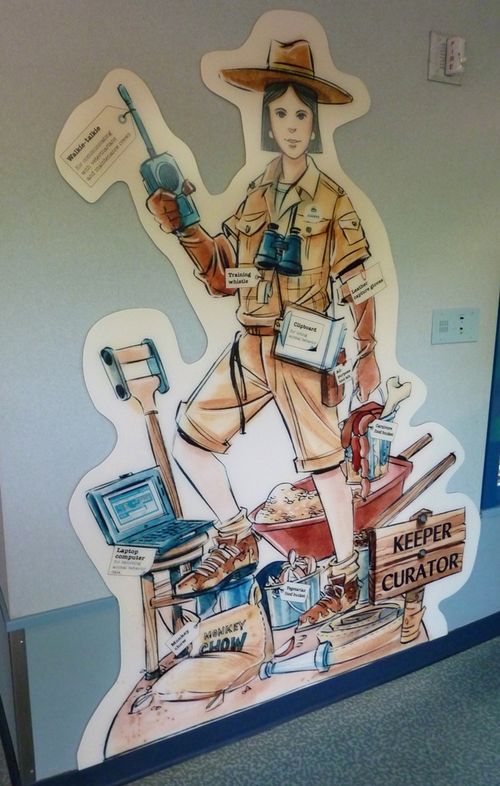 Disney's Animal Kingdom 20