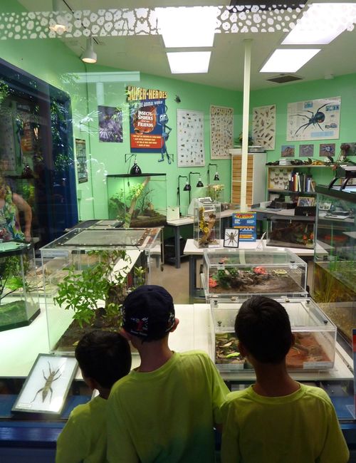 Disney's Animal Kingdom 21