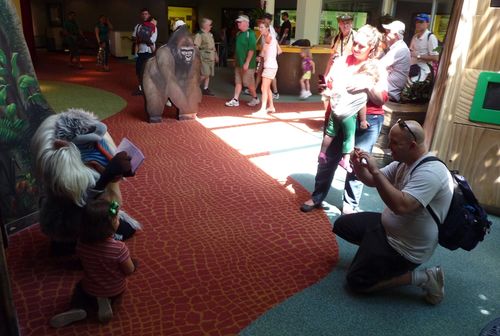 Disney's Animal Kingdom 25