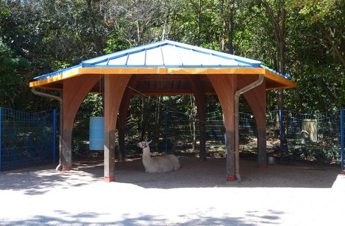 Disney's Animal Kingdom 30