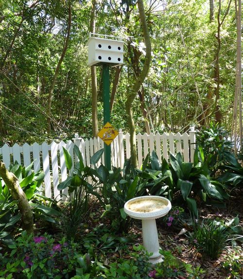 Disney's Animal Kingdom 35