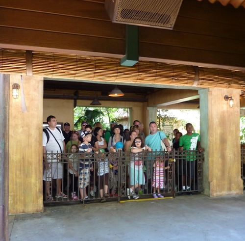 Disney's Animal Kingdom 38