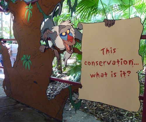 Disney's Animal Kingdom 37