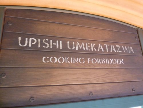 Disney's Animal Kingdom 39