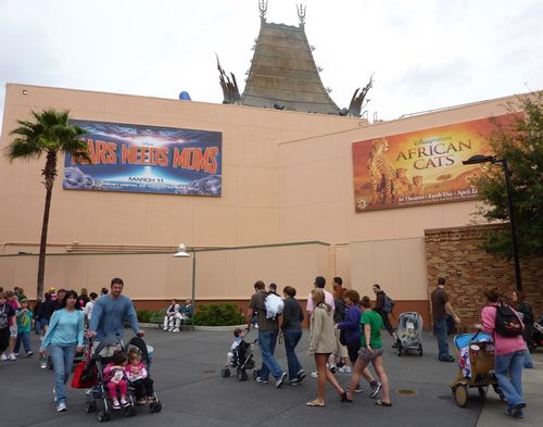 Disney's Hollywood Studio 15