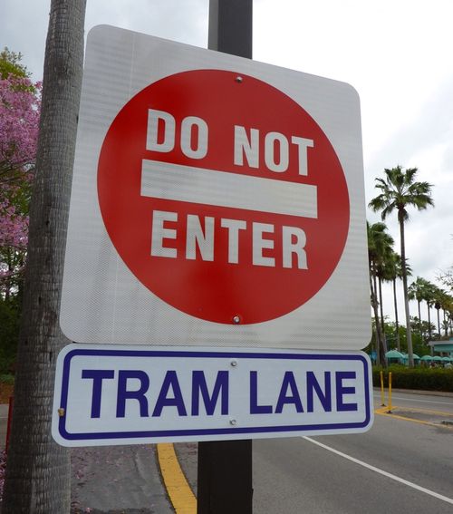 Disney's Hollywood Studio 33