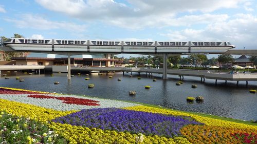 Epcot International Flower and Garden Festival 9 Epcot International Flower and Garden Festival 9