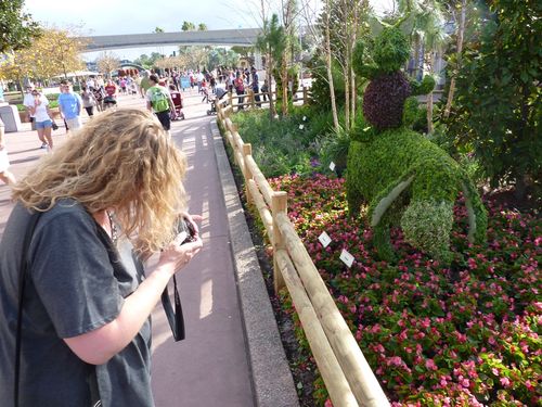 Epcot International Flower and Garden Festival 13 Epcot International Flower and Garden Festival 13