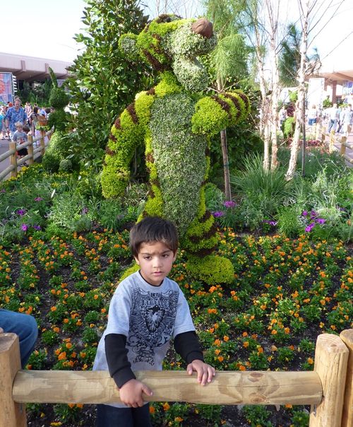 Epcot International Flower and Garden Festival 14 Epcot International Flower and Garden Festival 14