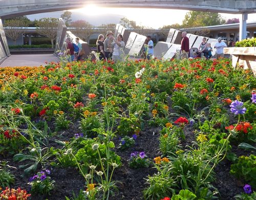 Epcot International Flower and Garden Festival 42 Epcot International Flower and Garden Festival 42