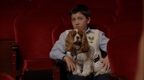 SHARPAYS FABULOUS ADVENTURE Roger SHARPAYS FABULOUS ADVENTURE Roger