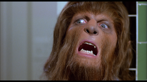 TEEN WOLF Reflection