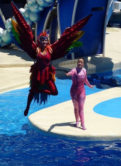 Sea World Orlando 10