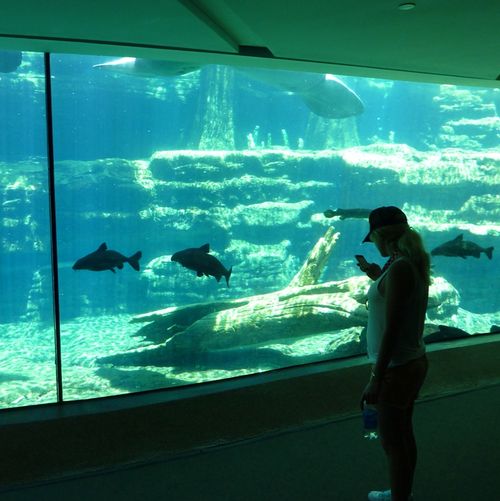 Sea World Orlando 16