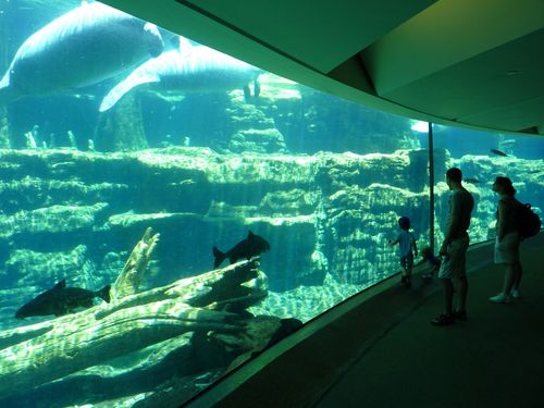 Sea World Orlando 19