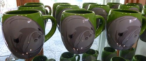 Sea World Orlando 23