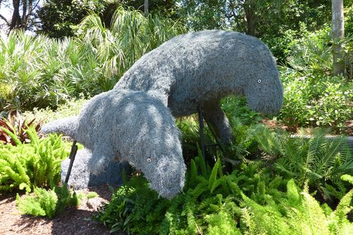 Sea World Orlando 24