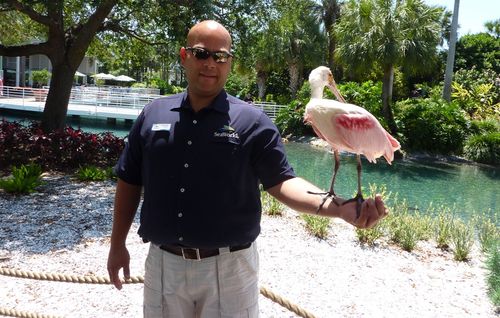 Sea World Orlando 26