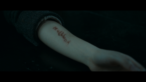 HARRY POTTER AND THE DEATHLY HALLOWS PART ONE Mudblood Cut