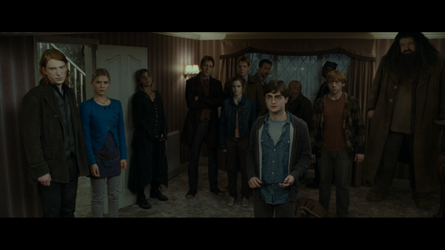 HARRY POTTER AND THE DEATHLY HALLOWS PART ONE Group