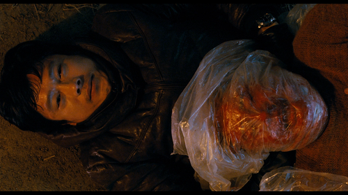 I SAW THE DEVIL Lee Byung-hun Plastic