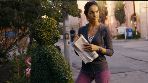 FROM PRADA TO NADA Camilla Belle Shrub